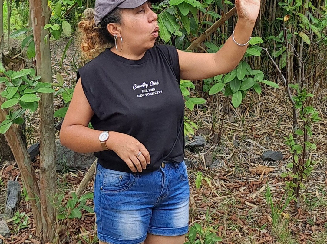 Maison Folio-埃勒堡必去景点