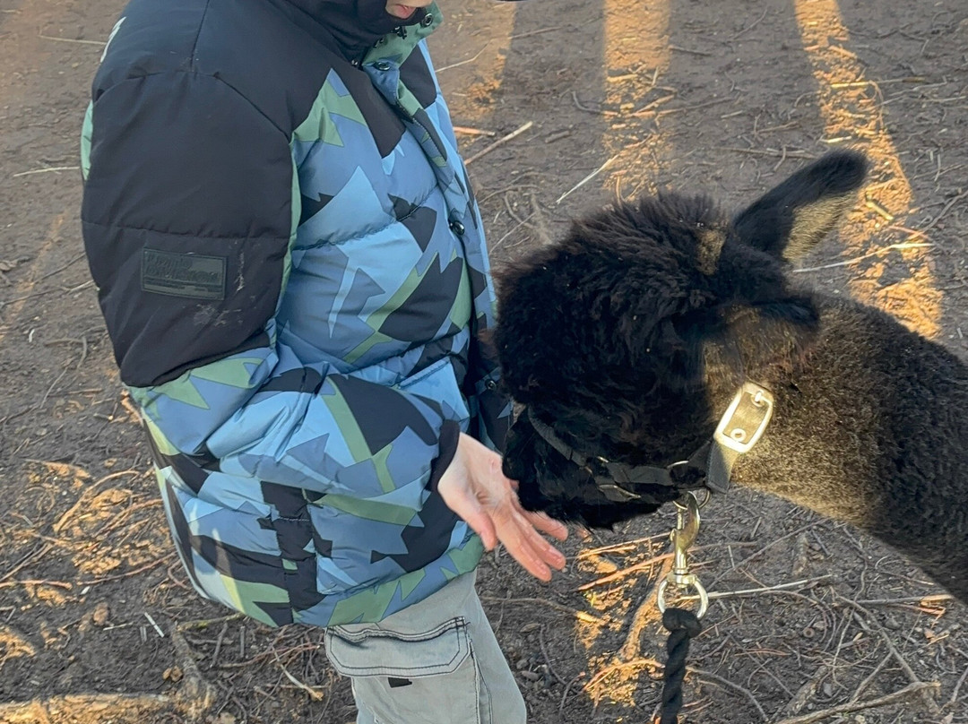 John Muir Alpacas-Dunbar必去景点