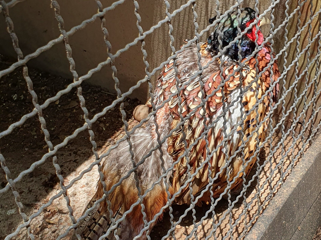 Jardim dos Pinhais Ecco Parque-圣安东尼奥杜皮尼亚尔必去景点