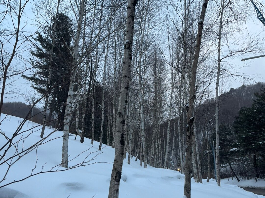 Phoenix Snow Park-平昌郡必去景点
