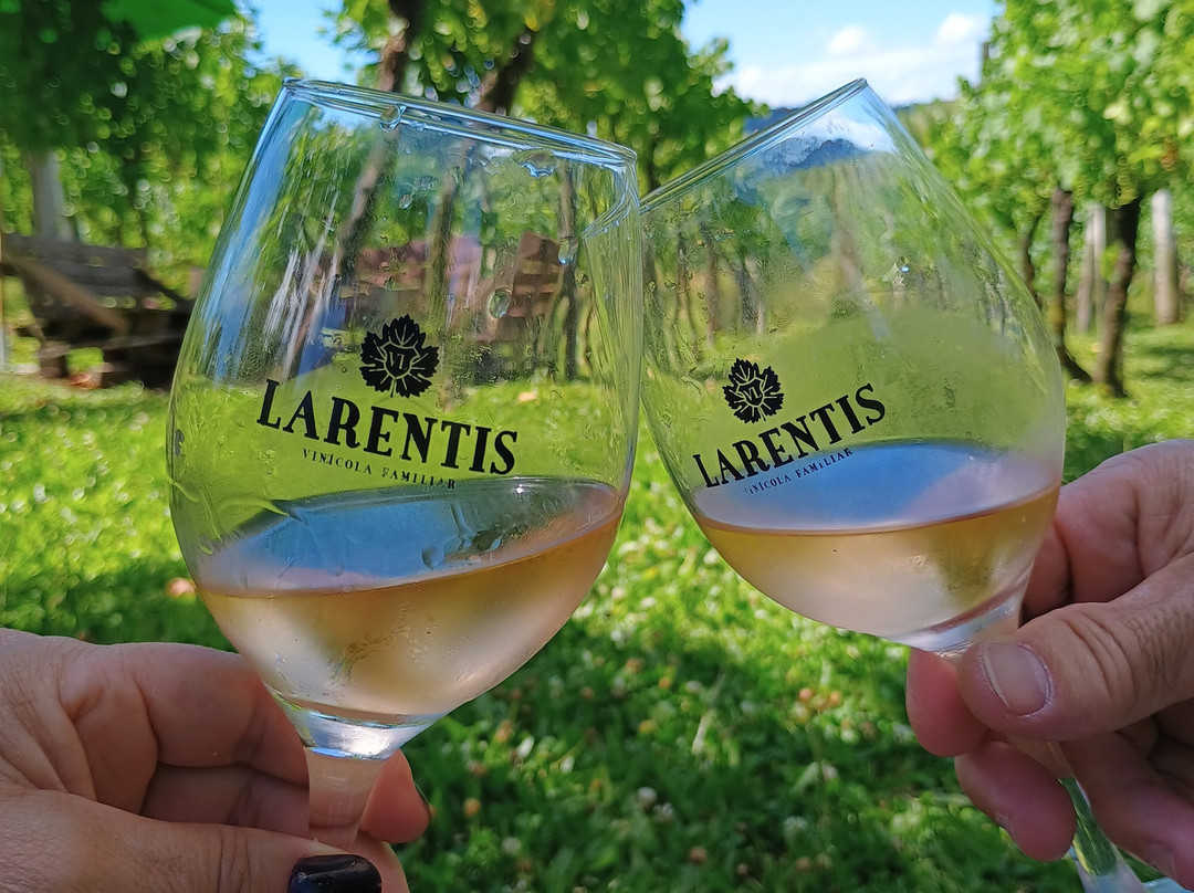 Vinhos Larentis-本图贡萨尔维斯必去景点