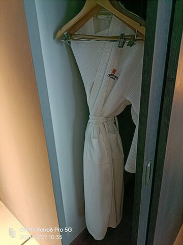 新加坡乌节大酒店主图