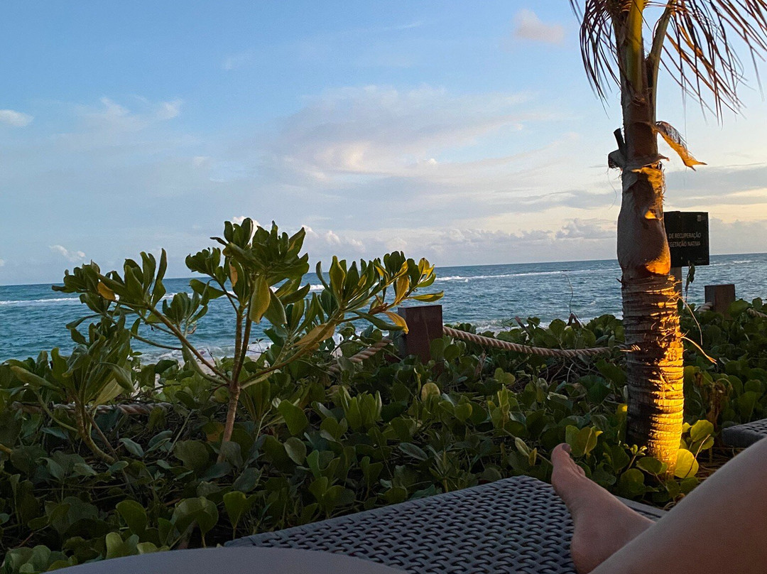 Praia Barra de São Miguel-Barra de Sao Miguel必去景点