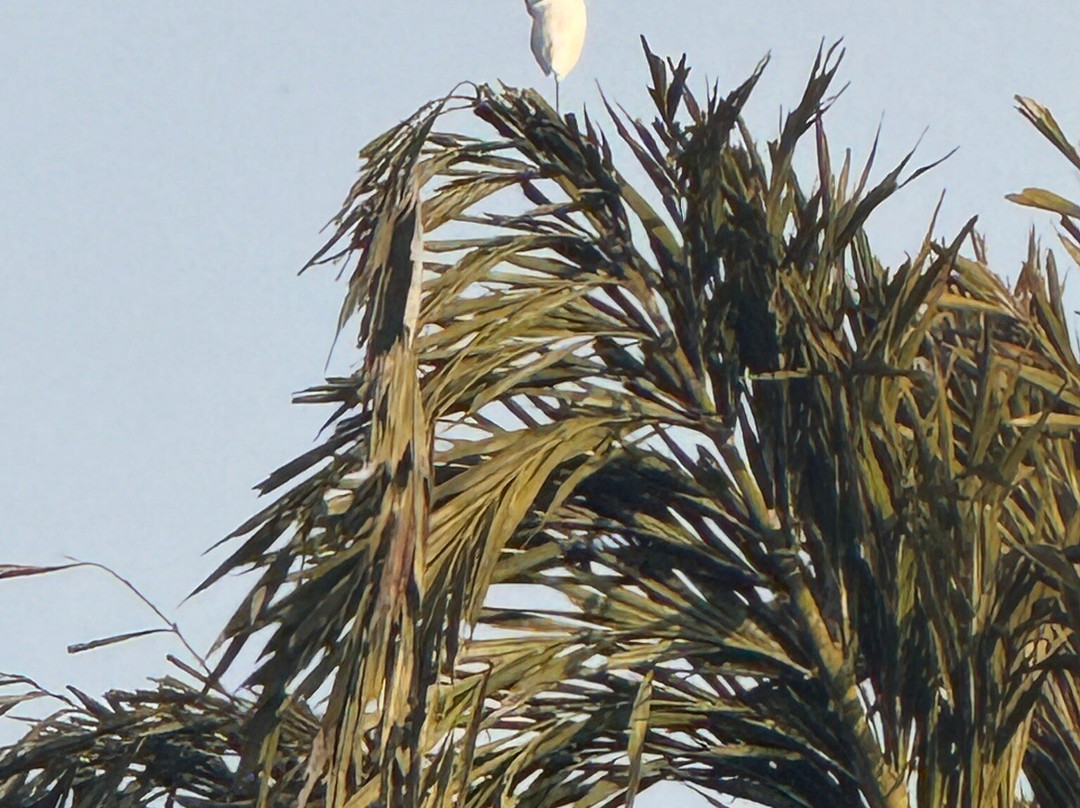 Amara Homestay, Dandeli主图