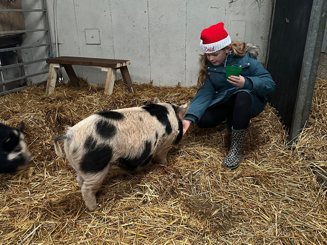 Charnwood Forest Alpacas-Boundary必去景点