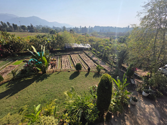 Forest Side Farm主图