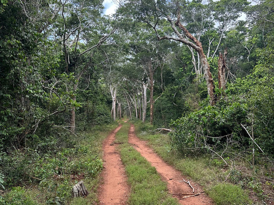 Terek Birding Tours-瓦塔木必去景点