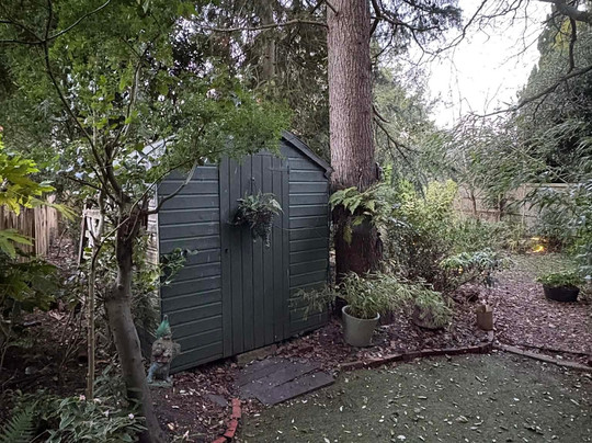 24 Ward Avenue Bed & Breakfast主图