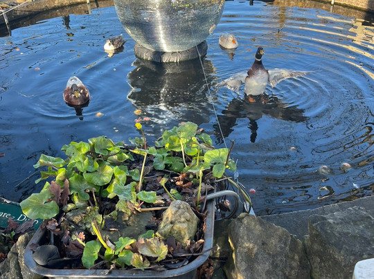 Old Down Country Park & Weddings-Old Down必去景点