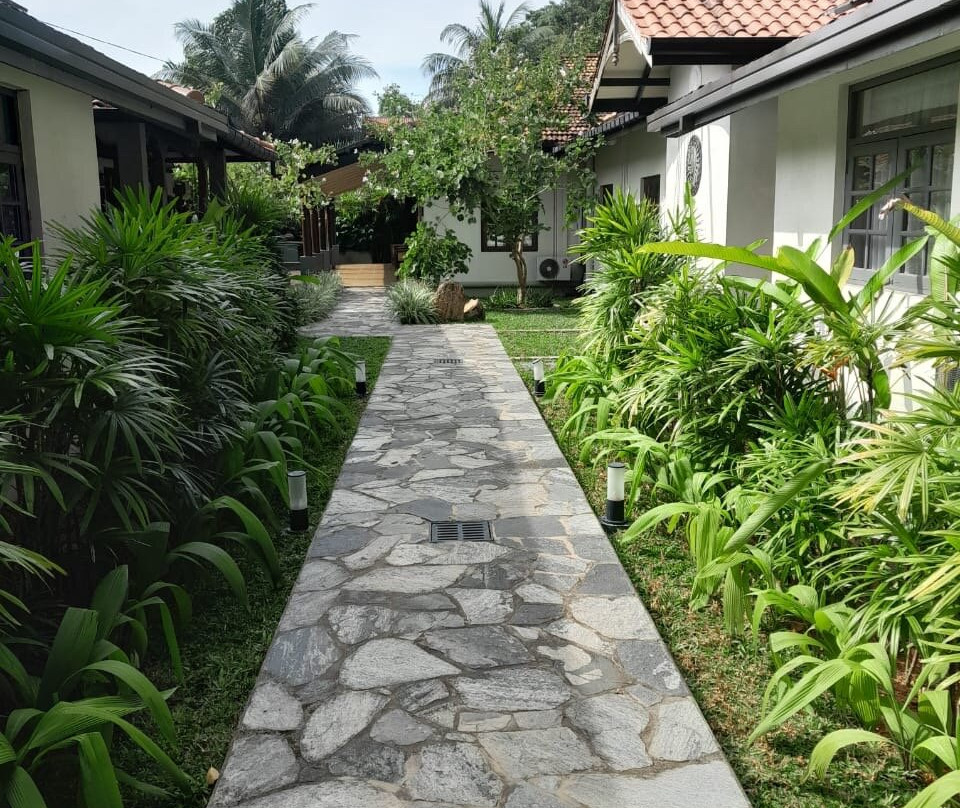 塔玛林德树酒店主图