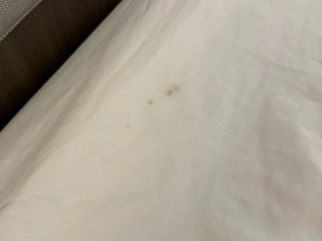 Hilton Garden Inn Columbia/harbison主图