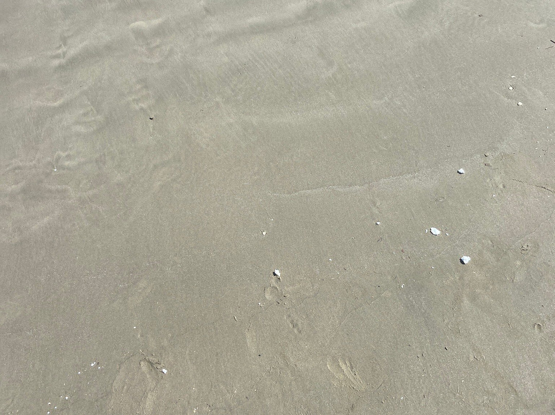 Tupi Beach-普拉亚格兰德必去景点