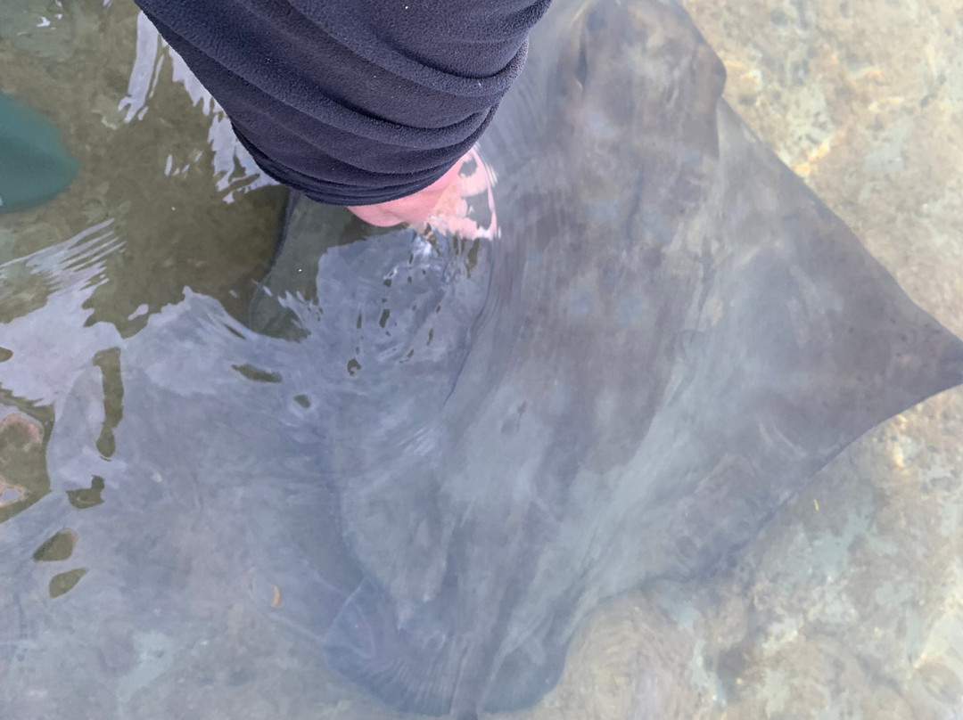 Dive Tatapouri-Gisborne Region必去景点