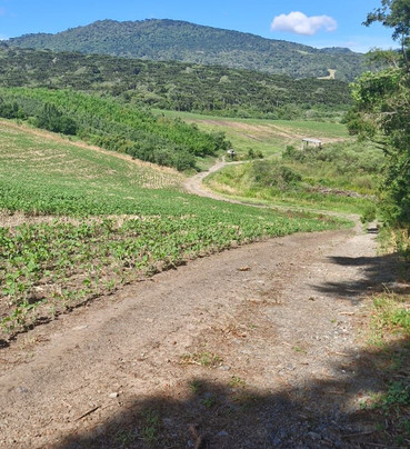 Pousada Pica-Pau主图