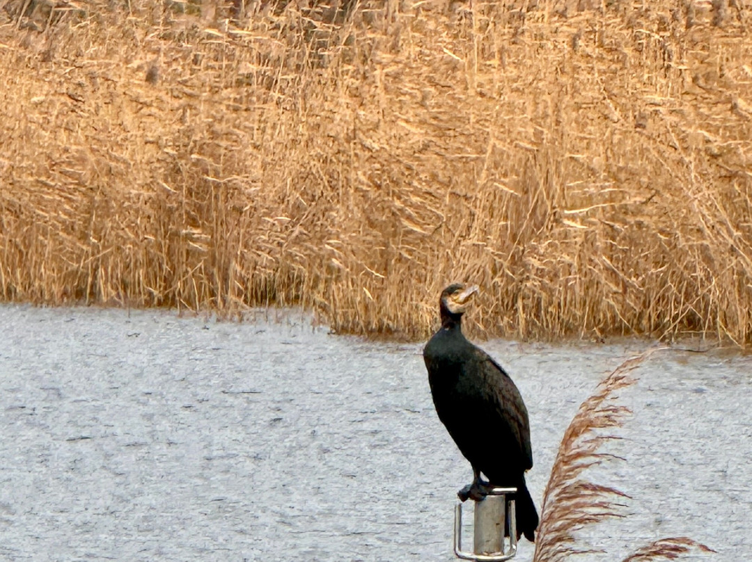InselTours-Zinnowitz必去景点