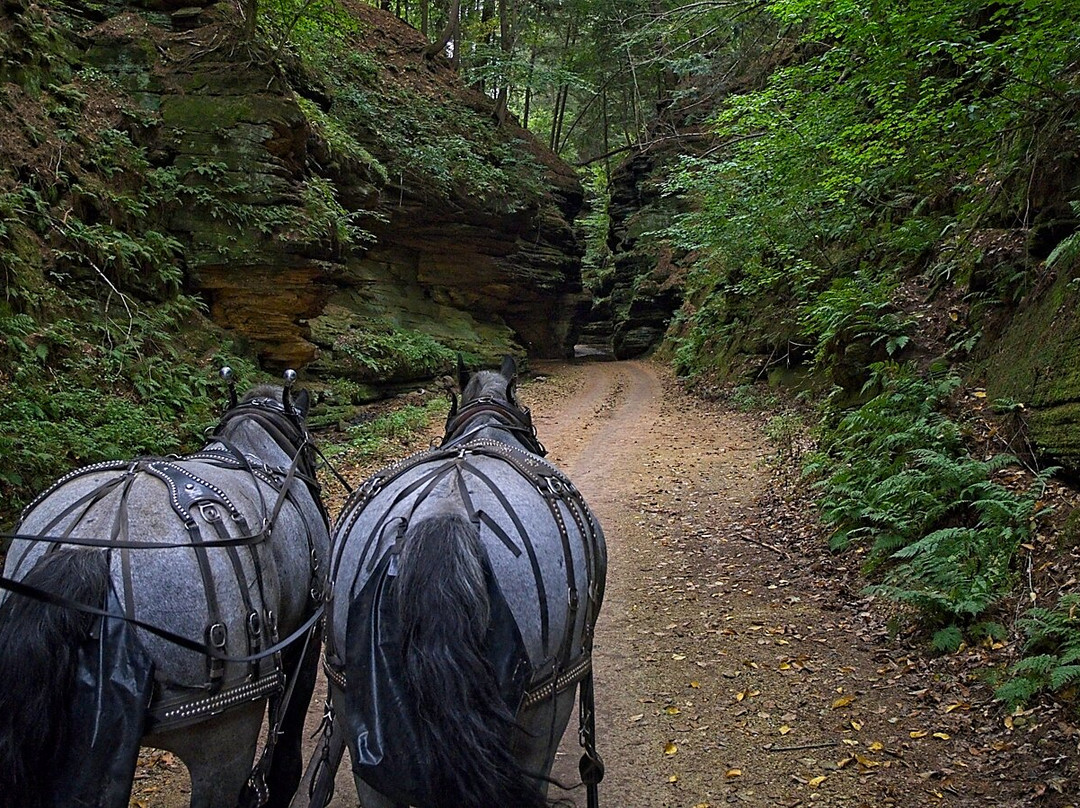 Lost Canyon Tours-威斯康星峡谷必去景点