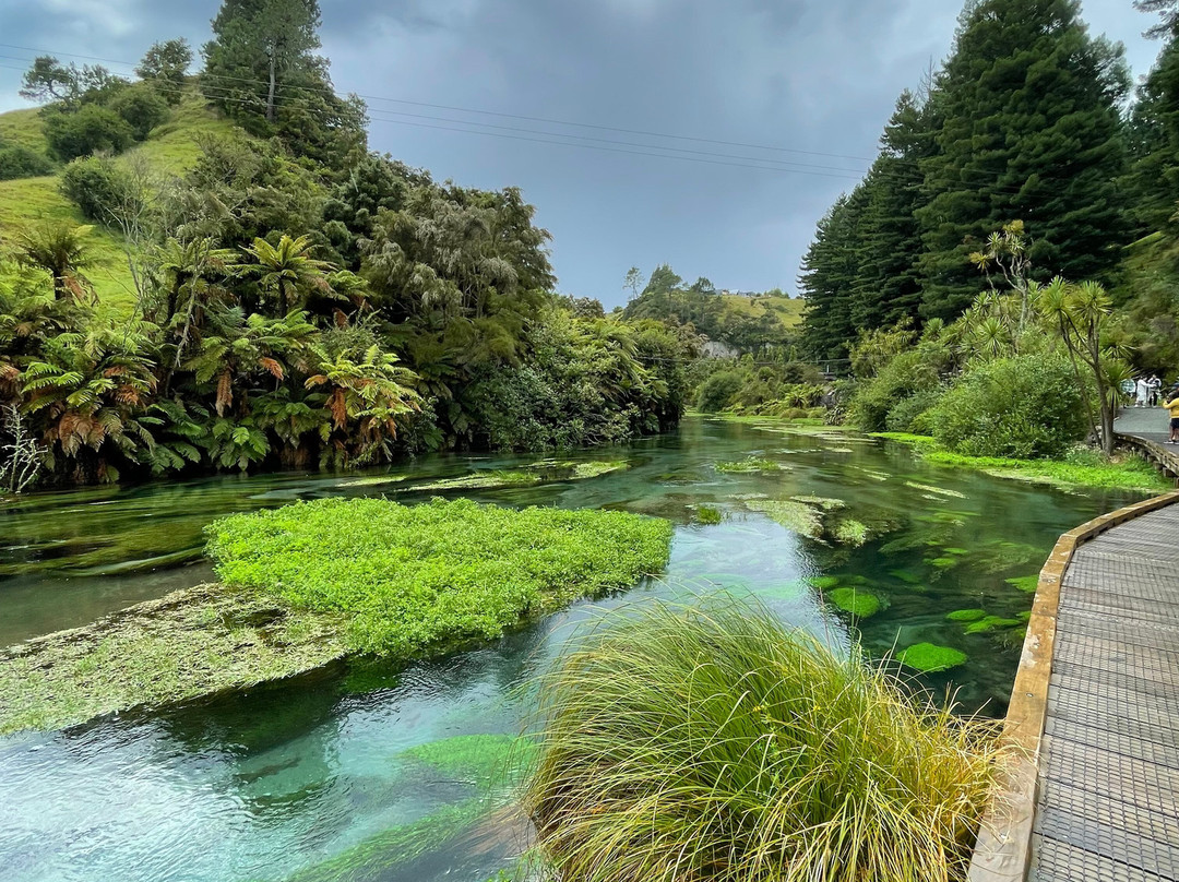 Blue Spring-普塔鲁鲁必去景点