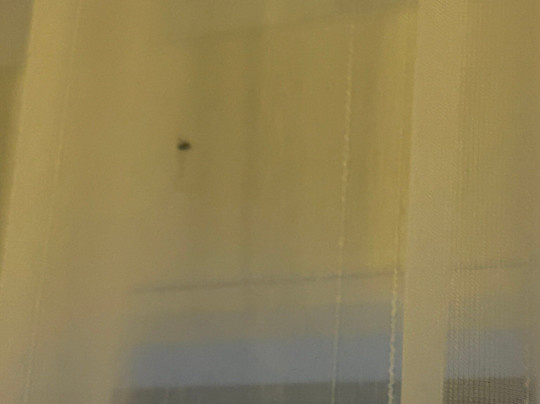 Avita Therme Spa-泉塔兹曼村必去景点