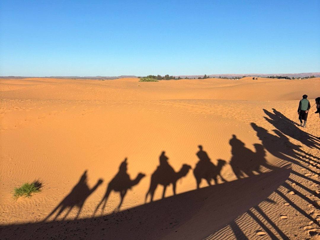 Visita Por Marruecos-丹吉尔必去景点