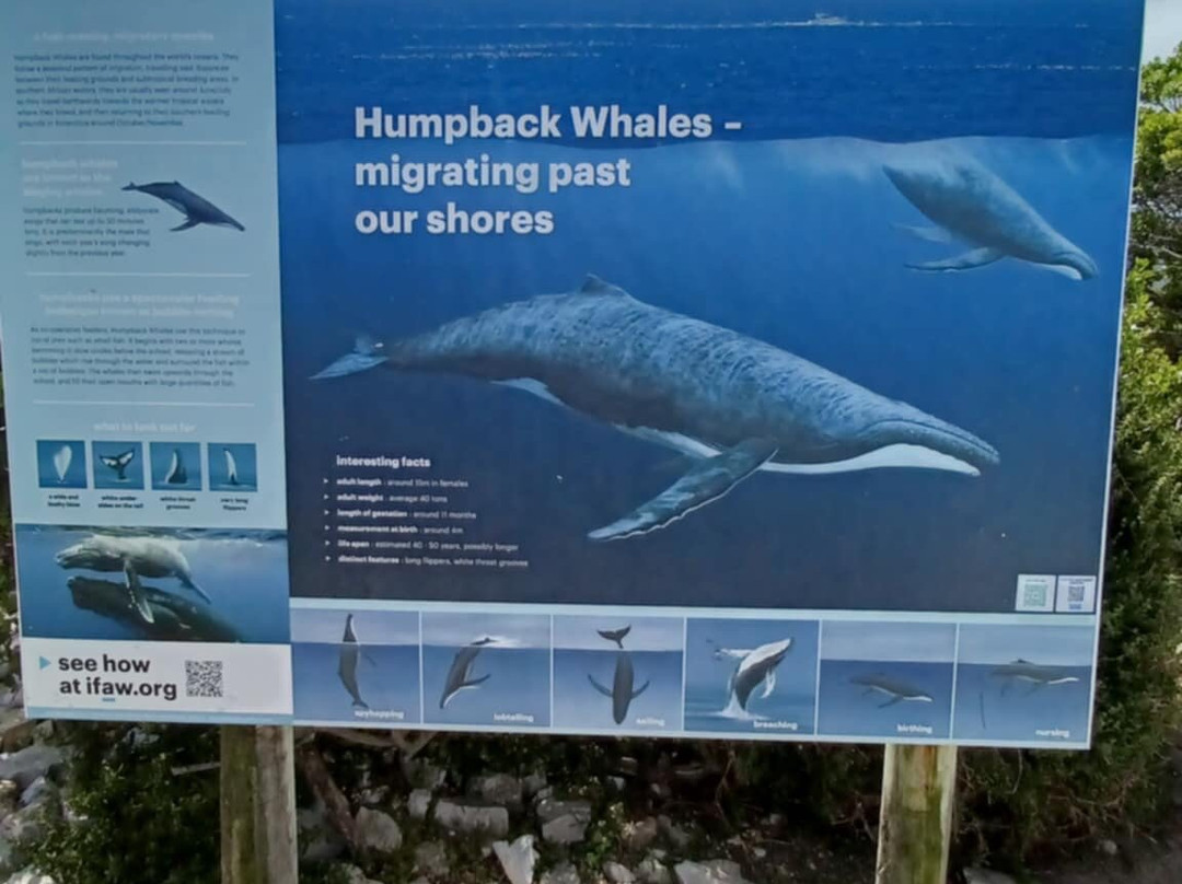 Gearing's Point-赫曼努斯必去景点