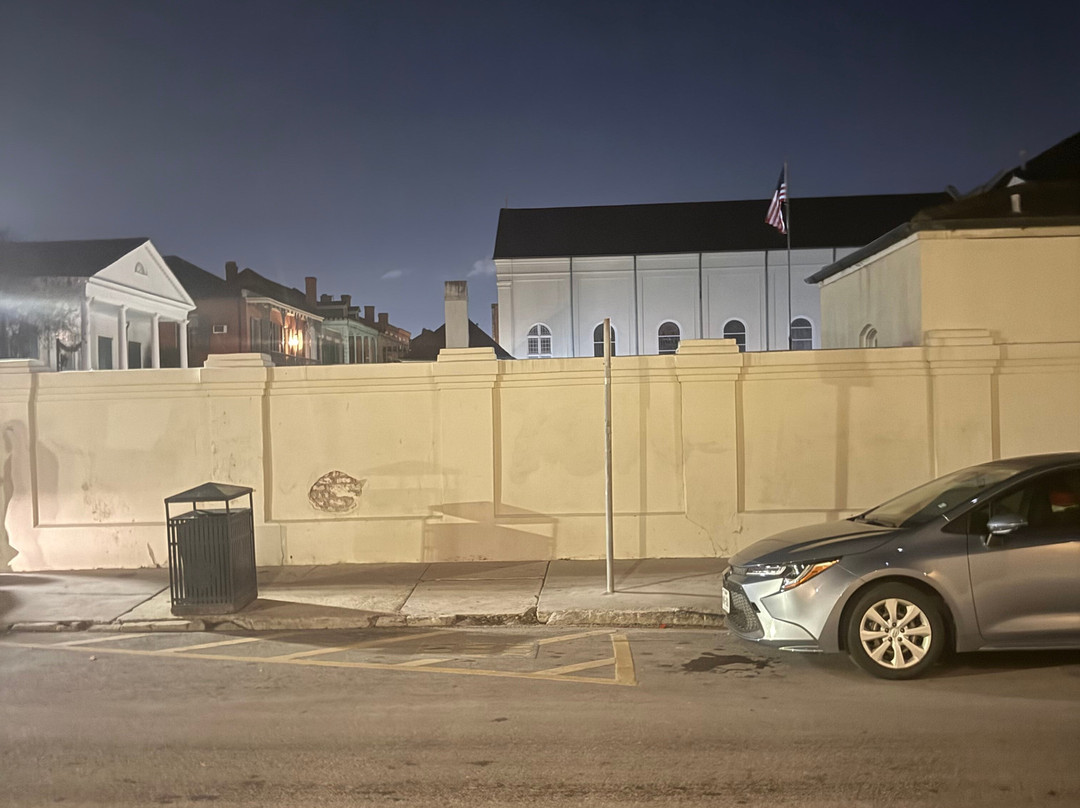 Gators and Ghosts A New Orleans Tour Company-新奥尔良必去景点