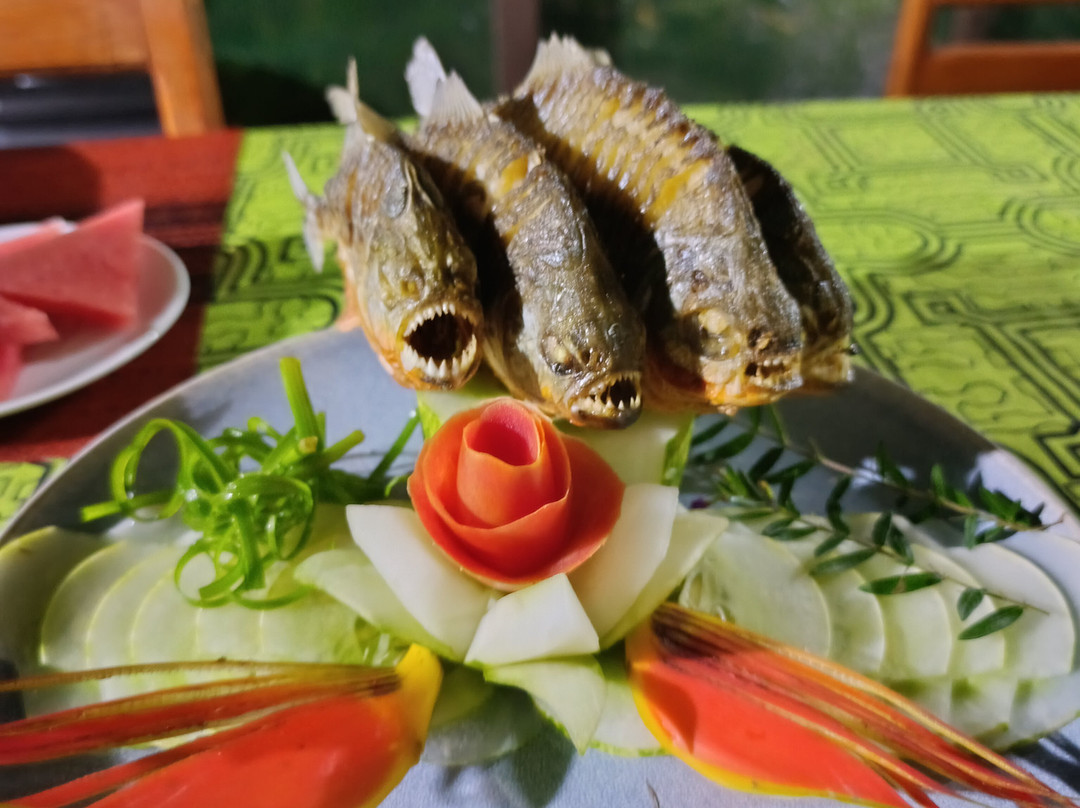 Allpayacu Adventures-伊基托斯必去景点