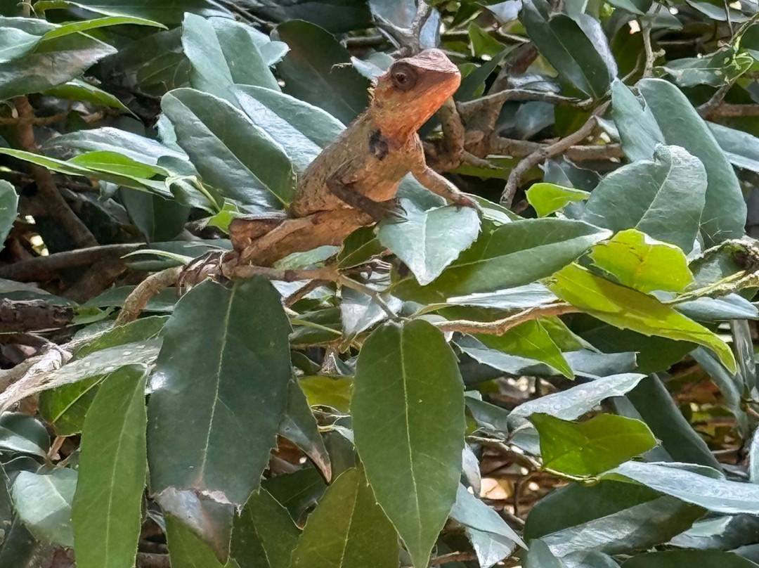 Charli Tours-亚洪加拉必去景点