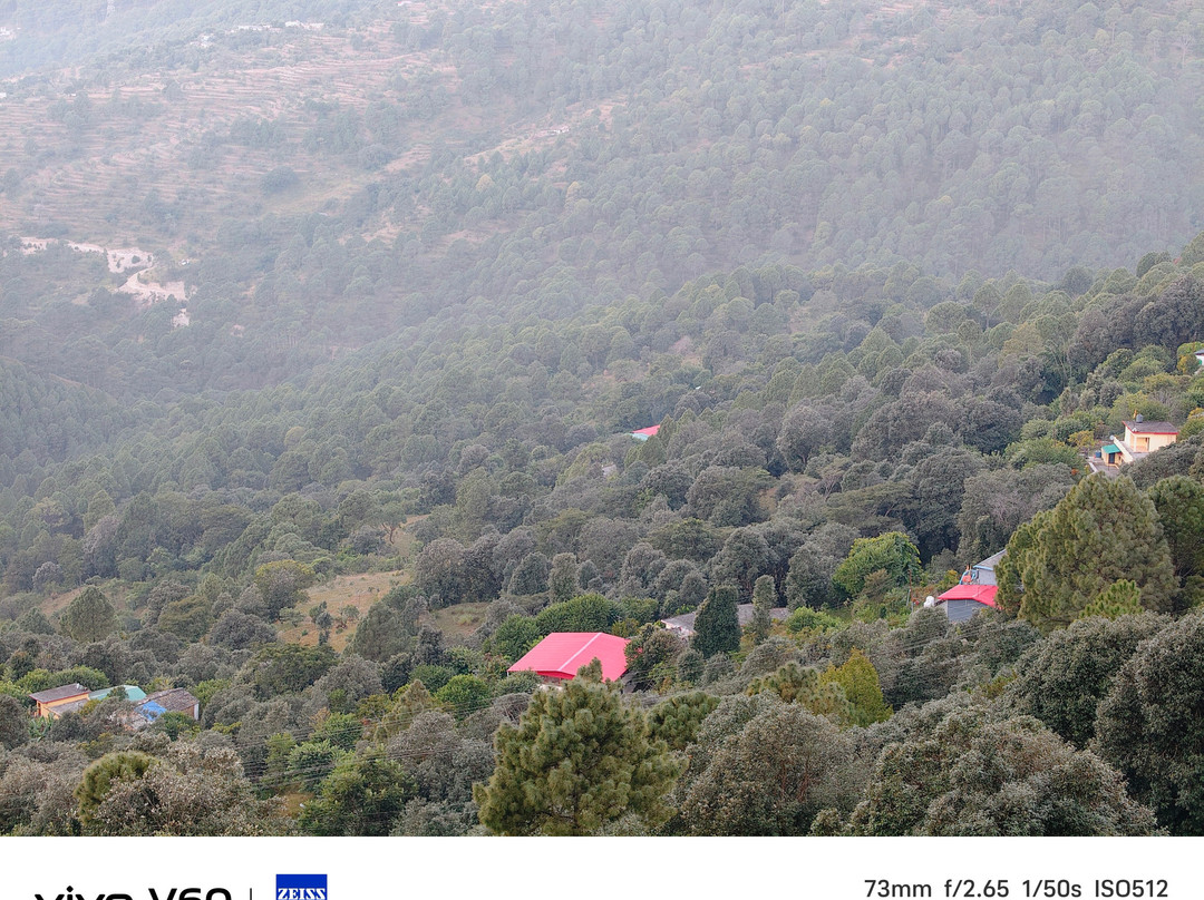 Q' Nest - Hotel Cloud End Lansdowne