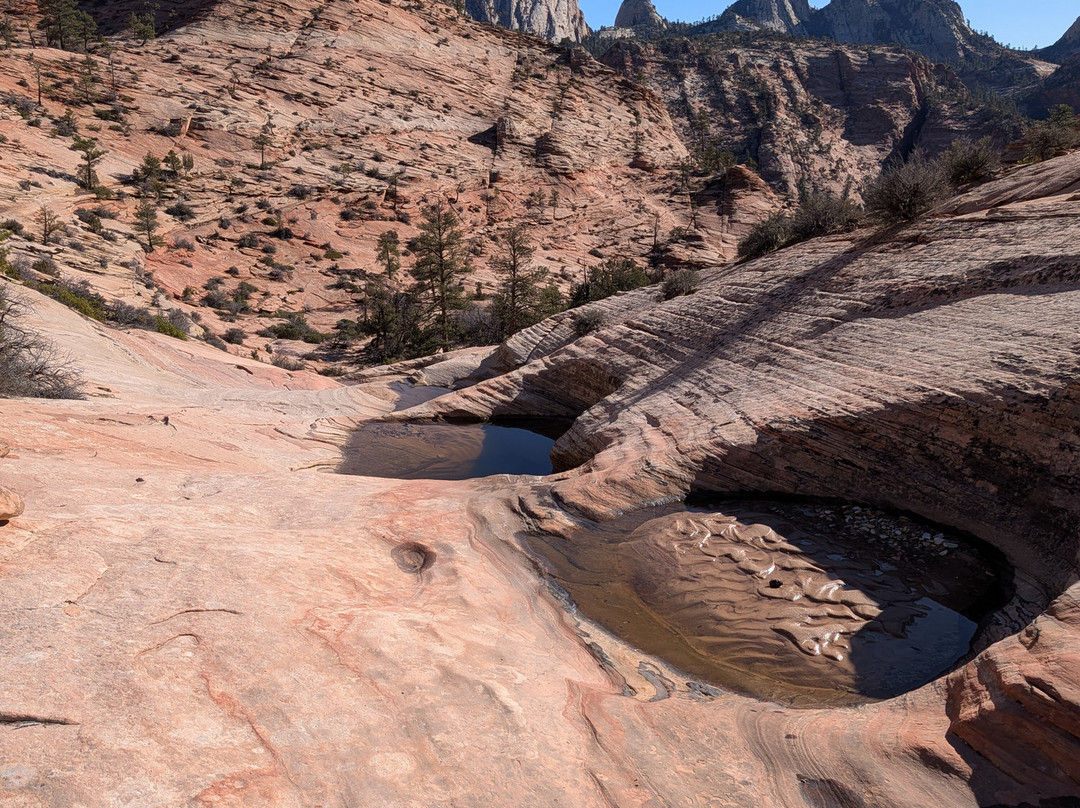 Many Pools Trail-锡安国家公园必去景点