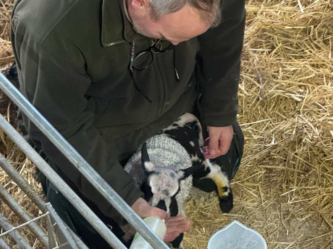 Cannon Hall Farm-Cawthorne必去景点