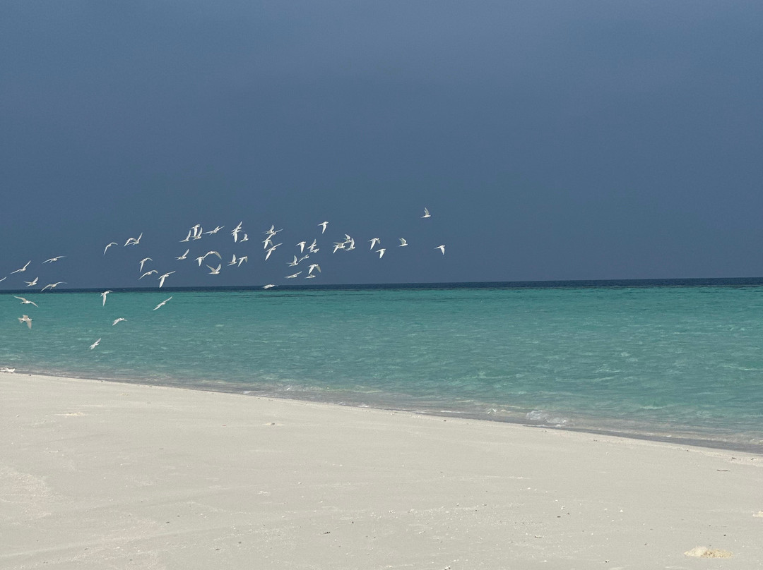 Local Travel Beach主图