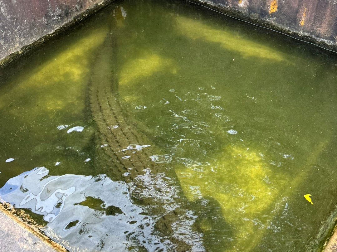 Palawan Wildlife Rescue and Conservation Center-公主港必去景点