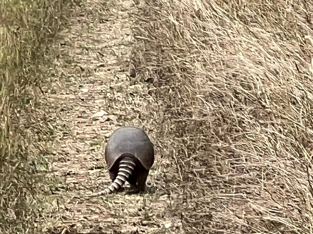 Hill Country State Natural Area-Bandera必去景点