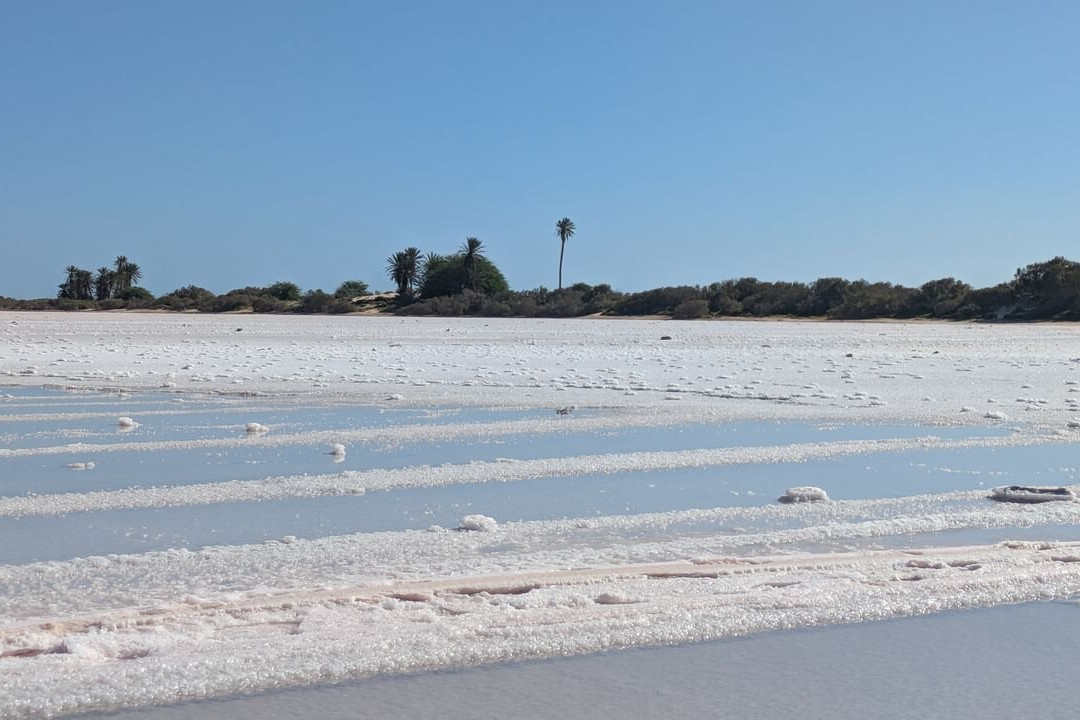 Boa Vista Tours-博阿维斯塔必去景点