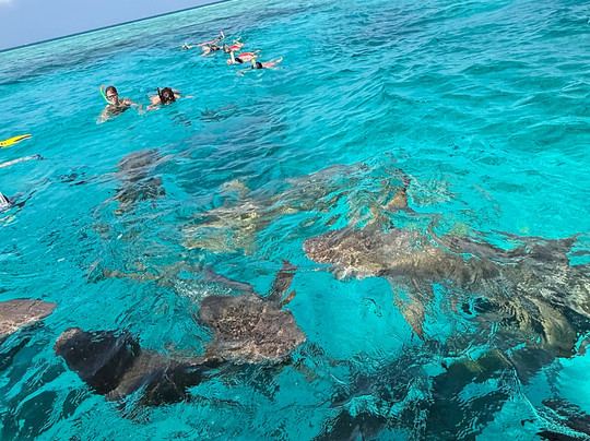 Papa Fish Excursions-乌库拉斯必去景点