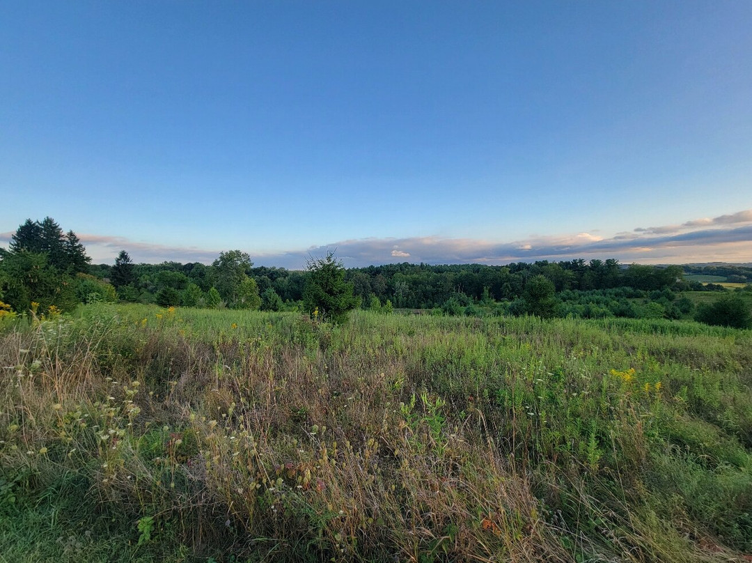 Fry Family Park - Stark Parks-Magnolia必去景点
