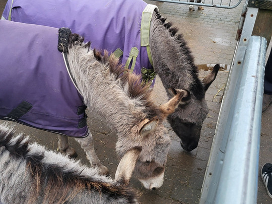 The Wonkey Donkey Visitors Centre-Knottingley必去景点