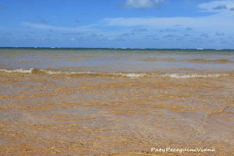 Ilha De Areia Vermelha-Joao Pessoa必去景点