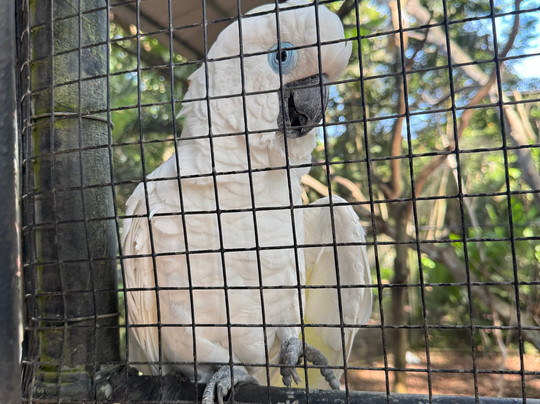 Port Moresby Nature Park-莫尔兹比港必去景点