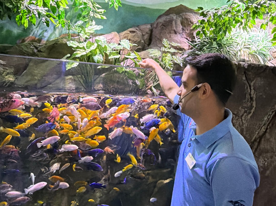 Marassi Aquarium & Underwater Zoo-Diyar Al Muharraq必去景点