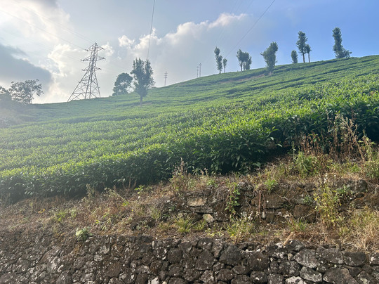 Affluent Travel & Leisure-新德里必去景点