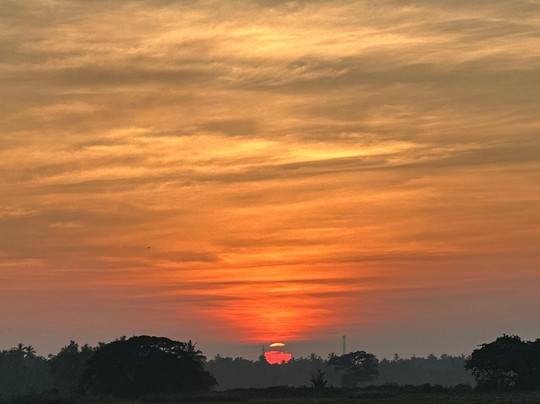 Saffron Lake Yala主图