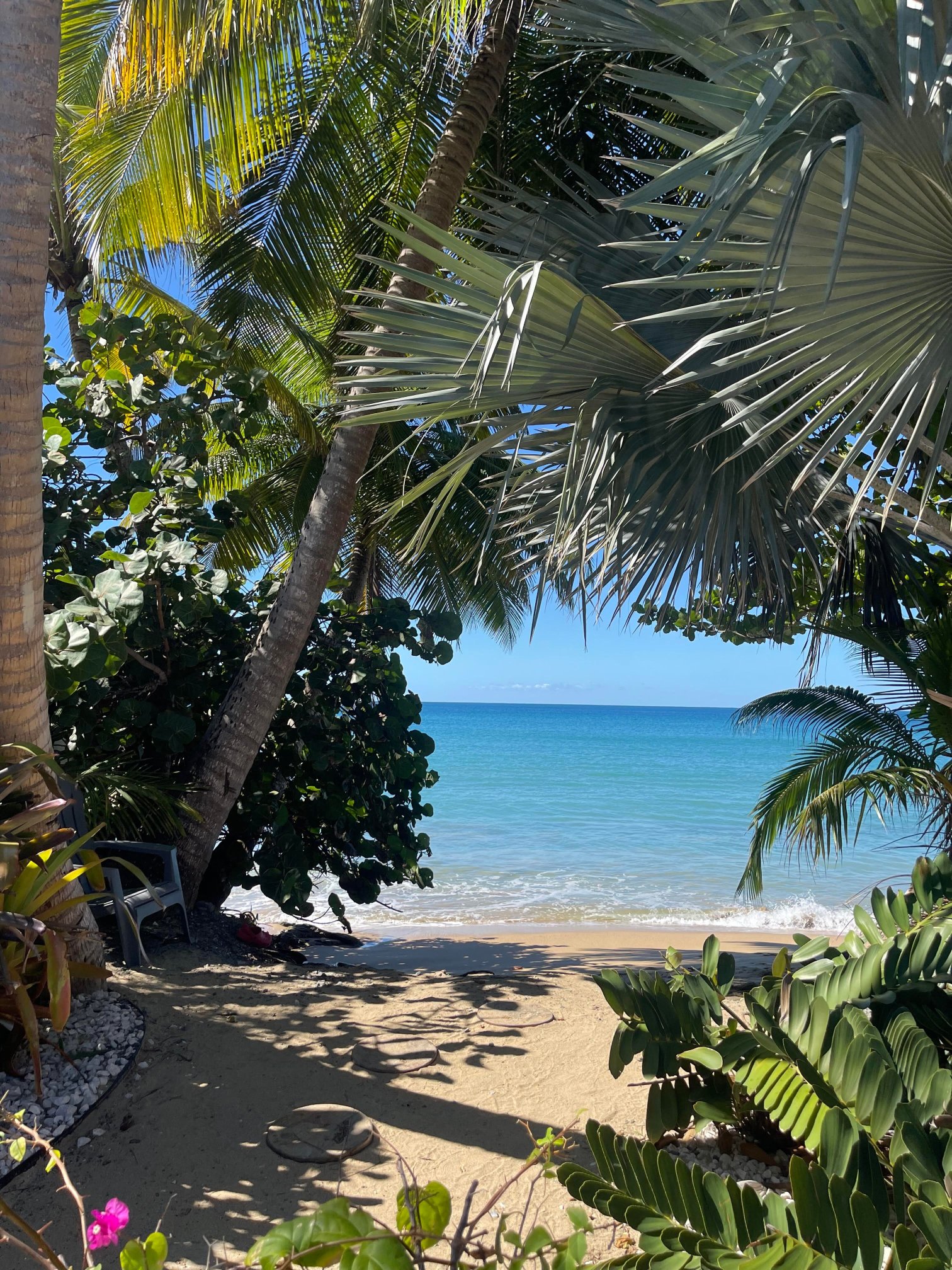 Tres Sirenas Beach Inn-泳池