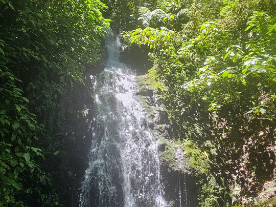 San José Birding-圣何塞必去景点