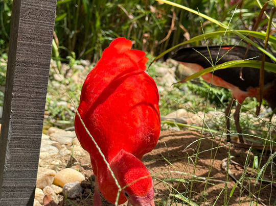 Parque Arvorar-Aquiraz必去景点