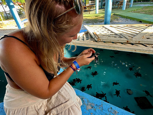 Centro de Rescate de Tortugas Marinas-拉戈岛必去景点