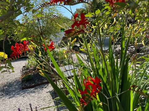 Bjellandstrand gård-Arendal必去景点