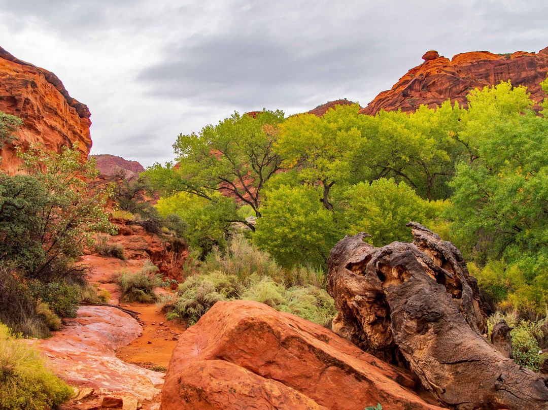 Red Cliffs National Conservation Area-圣乔治必去景点