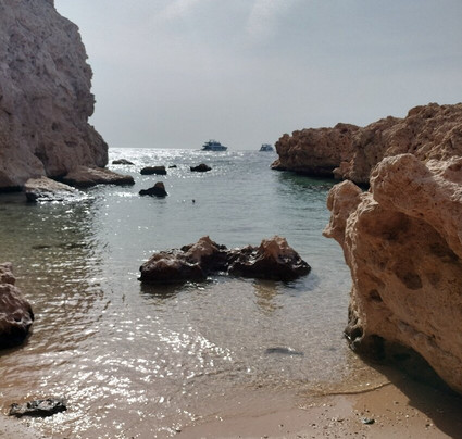 Sheikh Coast Diving Center-沙姆沙伊赫必去景点