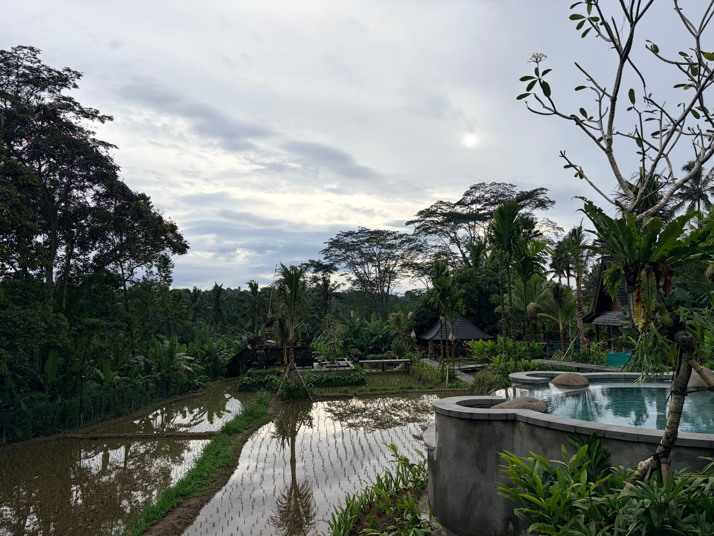 Emana Abian Taksu-官方